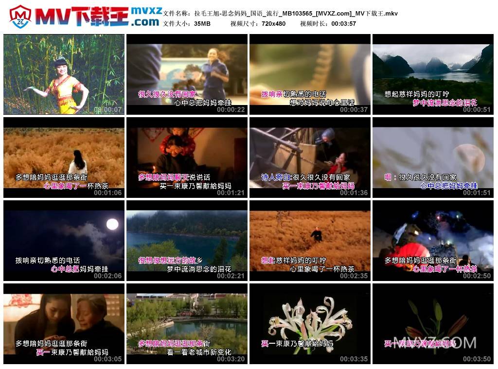 拉毛王旭-思念妈妈_国语_流行_MB103565